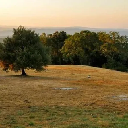 Podere Casa La Gualda *