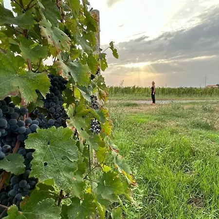 Casa vacanze Podere Casa La Gualda Brancorsi