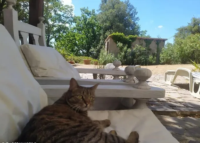 Podere Casa La Gualda