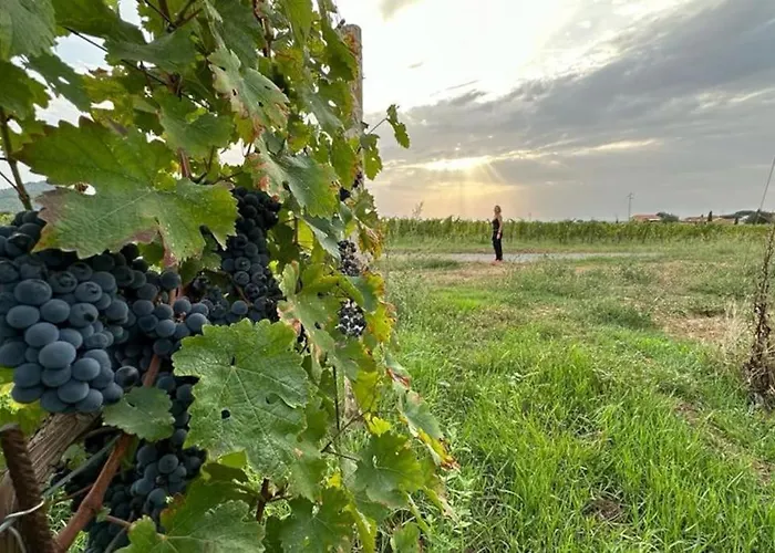 度假居 Podere Casa La Gualda Brancorsi