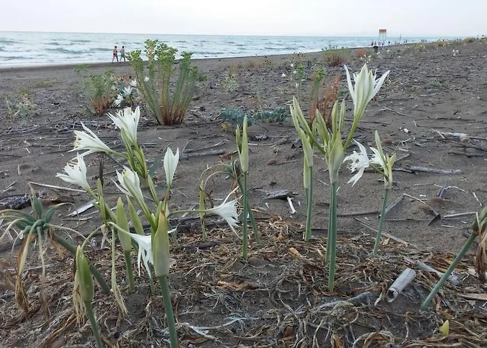Podere Casa La Gualda